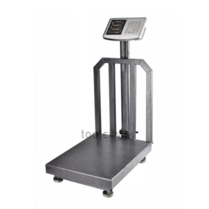 Digital Platform Scale