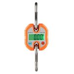 CRANE HANGING SCALE 100KG – WH/C