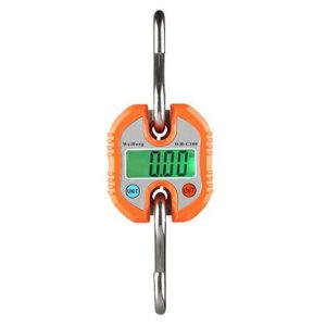 CRANE HANGING SCALE 100KG – WH/C
